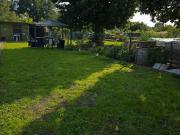 schöne Garten in Luckenwalde abzugeben