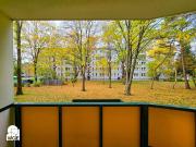 Schöne helle 2 Raum Wohnung mit Balkon im Erdgeschoss