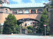 Schöne helle Wohnung in guter Lage