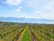 Schöne Immobilie verfügbar