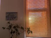 Schöne kleine Altbau Wohnung im 16