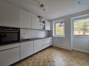 Schöne neu renovierte 2 Zi. Wohnung im Zentrum von Bad Ischl