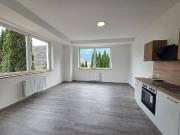 Schöne und neu renovierte Wohnung mit riesiger 115m²...