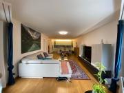 Schöne voll möblierte 4.5 Zimmer Wohnung in Seebach...