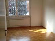 Schöne Wohnung in grüner Umgebung