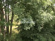 Schöne Wohnung in zentraler, grüner Lage von Eppendorf