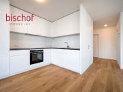 Schöne Wohnung mit grosser Terrasse