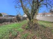 NEUER PREIS ! SCHÖNES BAUGRUNDSTÜCK IN KAISEREBERSDORF