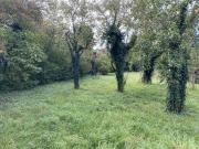 Schönes unbebautes Grundstück in Essling