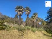 SCHWEIZ nahe Lugano Sonniges BAUGRUNDSTÜCK mit 2.341 m²