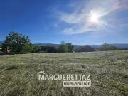 Scientrier 74930 Achat / Vente terrain