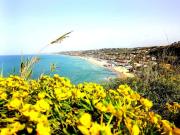 SCOPELLOTP A 8KM 2 CASETTE RUSTICHE DA RISTRUTTURARE...