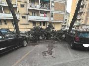 Scoperto in vendita a Genova, Marassi
