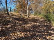 Scratch Ankle Rd, Trenton, Plot For Sale