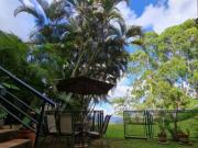 Se alquila anexo 60m² 1h/1b Alto Hatillo