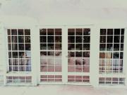 SE ALQUILA ANEXO PARA DEPOSITO O EMPRENDIMIENTO /#LA