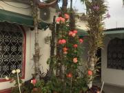 Se Alquila Apartamento Cerca del Mar en San Lorenzo Salinas