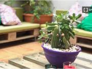 Se alquila apartamento de 2 habitaciones en Tres...