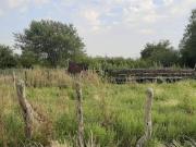 Se Alquila campo de 510 has en Zona Raíces Oeste