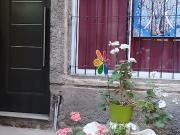 Se Alquila Casa en Luzuriaga Maipu