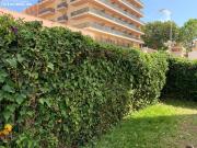 SE ALQUILA DESDE 1.04.27 30.6.27 BONITO APARTAMENTO EN...