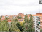 Se alquila habitación doble en piso de 5 habitaciones en...