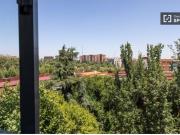 Se alquila habitación en piso compartido de 5...