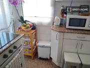 Se alquila habitación en piso de 3 habitaciones en La...