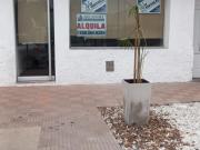SE ALQUILA LOCAL COMERCIAL