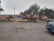 Se Alquila Local De 6500 M2 En Pachacamac