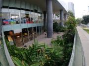 SE ALQUILA OFICINA Y/O LOCAL COMERCIAL DUPLEX EN...
