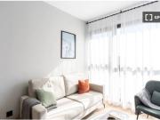 Se alquila piso de 1 dormitorio en San Sebastián de los...