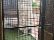 Se alquila piso de 4 habitaciones en Sant Andreu de...