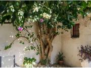 SE ALQUILA PISO EN VIRGEN DEN CARMEN 3 ALBAICIN