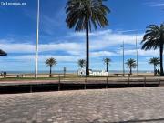 Se alquila plaza de garaje cerrada con capacidad para 3...