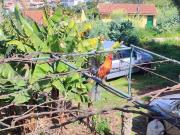 Se alquila por temporadas, preciosa casita rural en una...