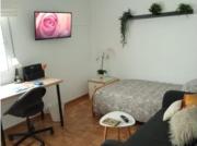 Se alquilan habitaciones en apartamento de 4 dormitorios...