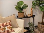 Se alquilan habitaciones en un apartamento de 6...