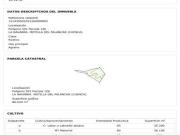 SE ALQUILAN TERRENOS PARA EXPLOTACION FOTOVOLTAICA Y EOLICA