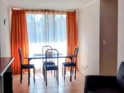 Se arrienda buen dpto. en primer sector Gómez Carreño