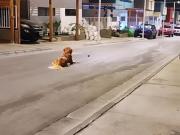 SE ARRIENDA CASA EN CONDOMINIO VISTAMAR