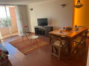 Arriendo dept amoblado borde rio incluye g comun, internet