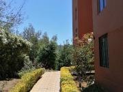 Se arrienda departamento amoblado marzo diciembre 2026...