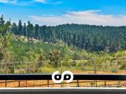 SE ARRIENDA DEPARTAMENTO | HERMOSA VISTA AL BOSQUE |...