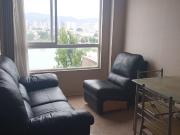 Se ARRIENDA departamento sector Laguna Tres Pascualas