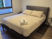 Se arrienda depto amoblado 1 dormitorio Stgo Centro