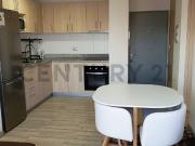 Se arrienda Depto Amoblado tipo mariposa 2D 2B 1E Se arrienda Depto Amoblado tipo mariposa 2D 2B 1E