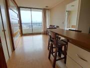 Se arrienda depto soleado Viana