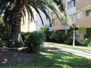 Se arrienda dpto 3D,2B,EST,BODEGA,ÑUÑOA Se arrienda dpto 3D,2B,EST,BODEGA,ÑUÑOA