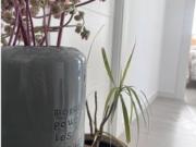 Se arrienda habitación en piso compartido de 3...